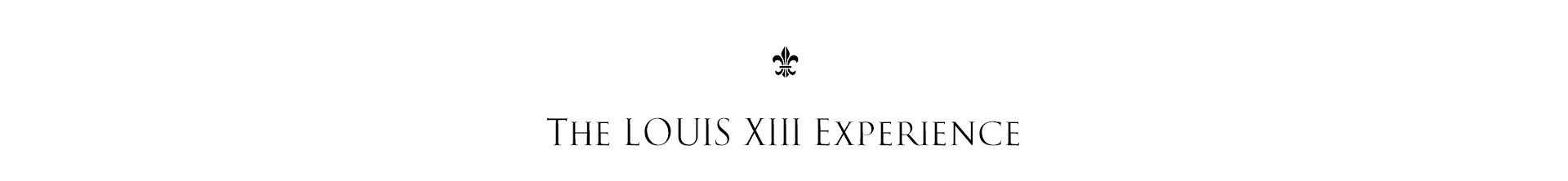 Louis XIII  iShopChangi