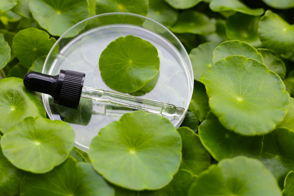 Centella for Skin: The Reset We've Been Waiting For? | iShopChangi